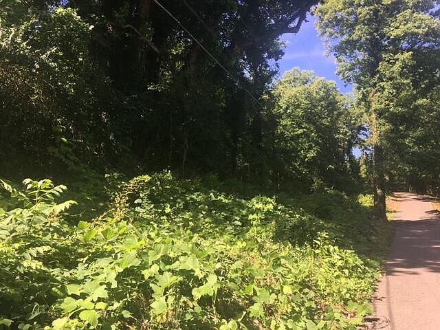 2nd image of Peltier Rd
