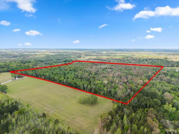 County Road 4390, Winnsboro, TX 75494