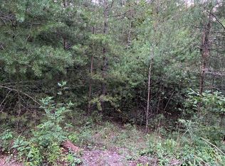 46 Whitecliff Dr, Ellijay, GA 30540