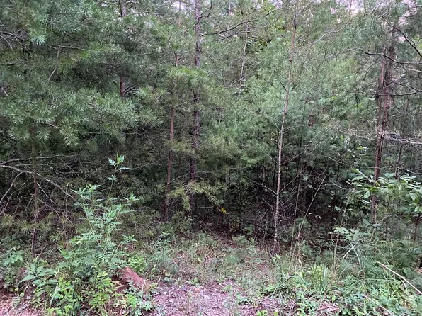 46 Whitecliff Dr, Ellijay, GA 30540