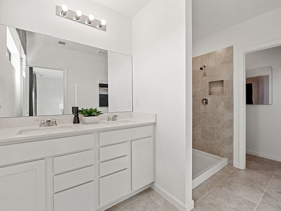 Owner s bathroom with shower
