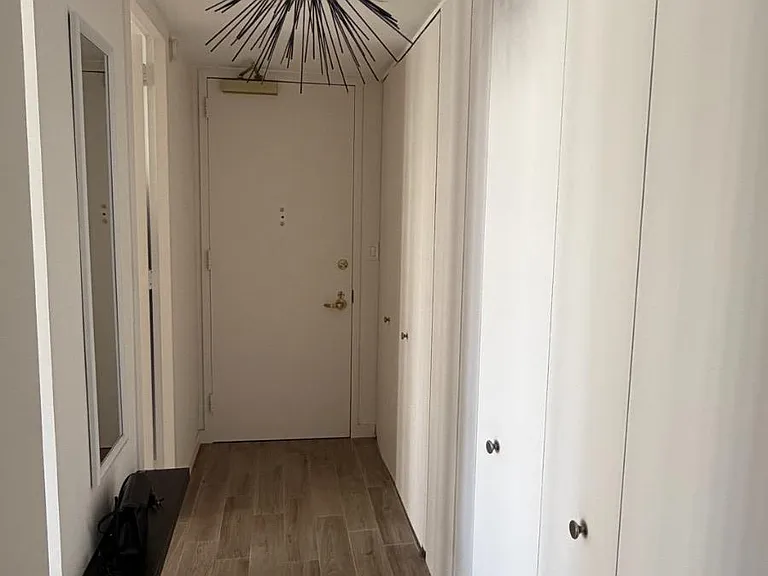 100 E Walton St #15A — Photo 1