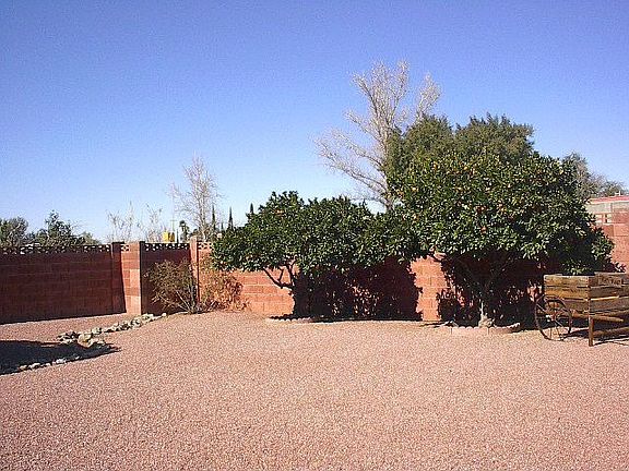 Large backyard with fruit trees.