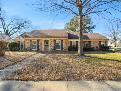 2531 Crewe St, Memphis, TN, 38119