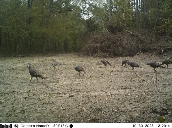 Highway 568 We St, Osyka, MS 39657