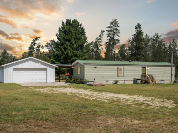 4694 W Moore Dr, Irons, MI 49644