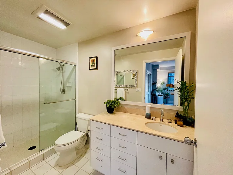 En-suite primary bathroom with walk-in glass shower and large vanity.
