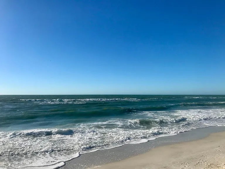The Gulf of Mexico