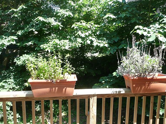 5th image of 405 S 42nd St APT 2C