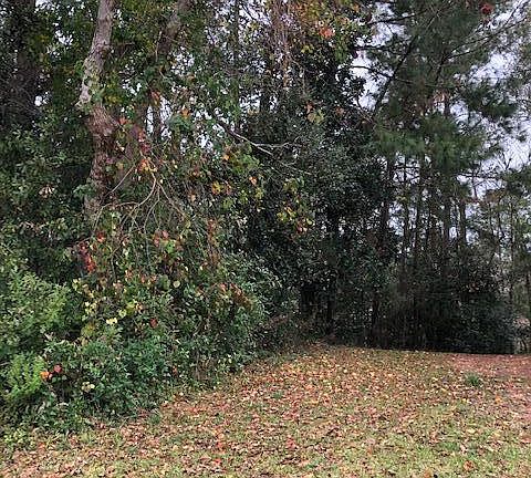 4th image of Biglin Bayou Dr Lot 60