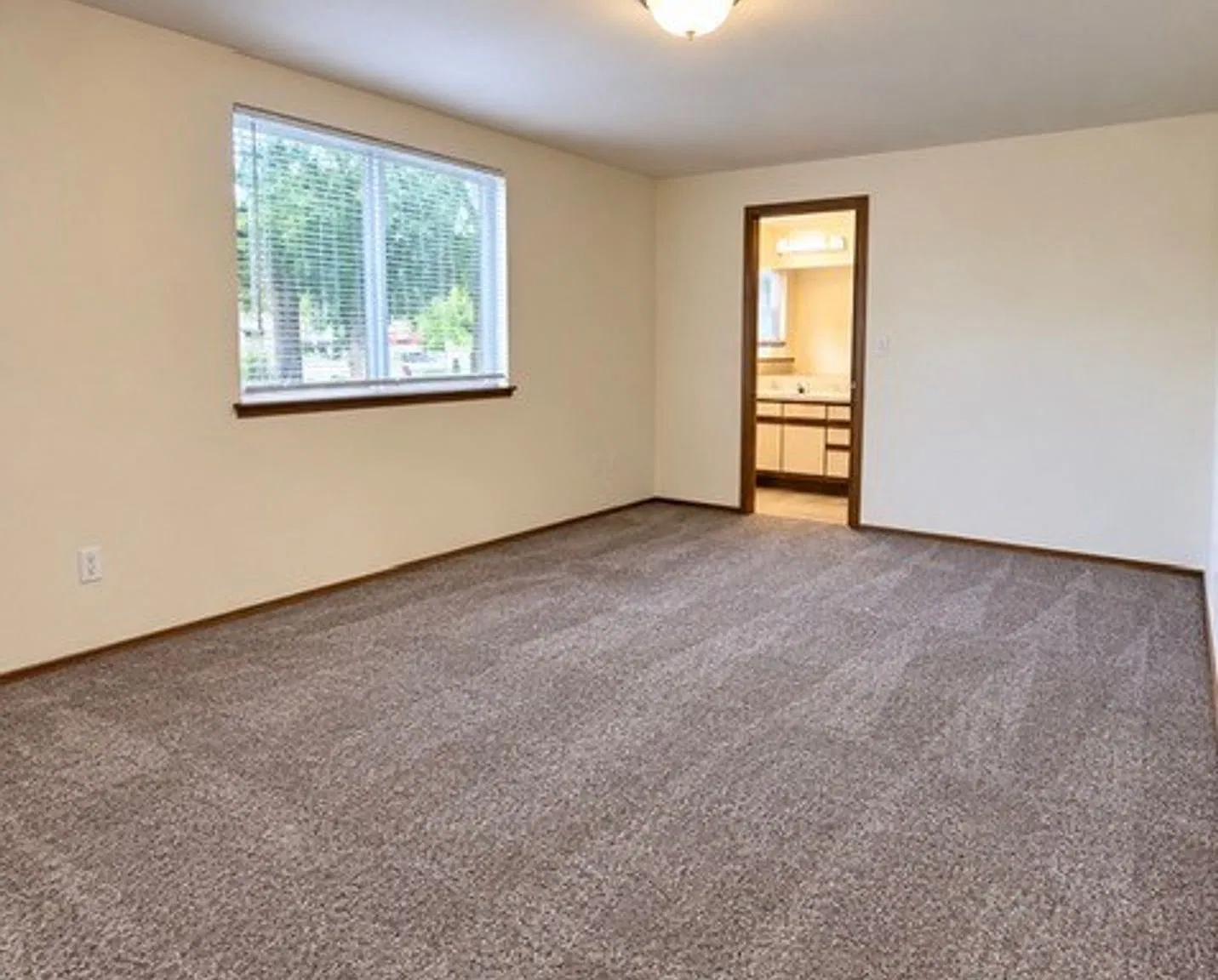 **Half Off Rent If You Move In Before November 15th** — Photo 4