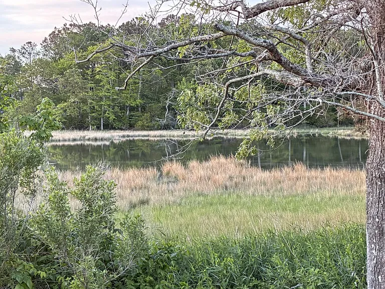 View of tidal wetlands from side deck and living room