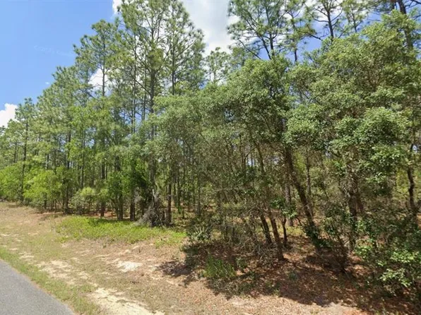 3704 W Lappula Ln, Citrus Springs, FL 34433