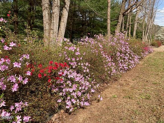 45th image of this home