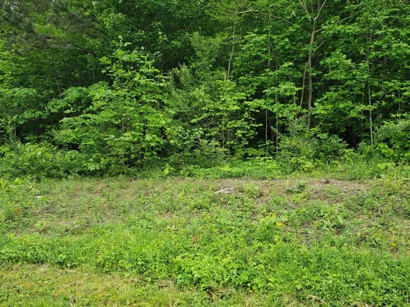 LOT 22 Lonesome Dove Ln, Speedwell, TN 37870