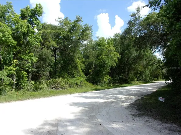 NE 836th St Lot 5, Old Town, FL 32680
