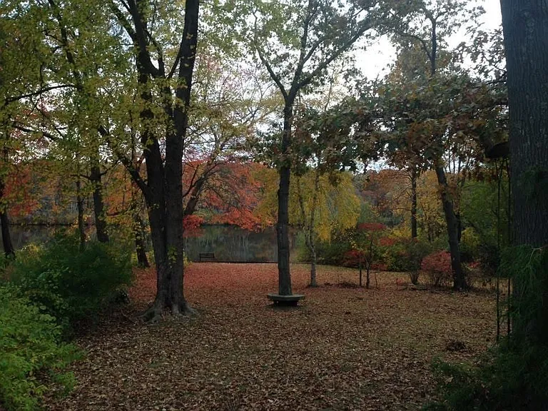 Mill Pond Ln — Photo 12