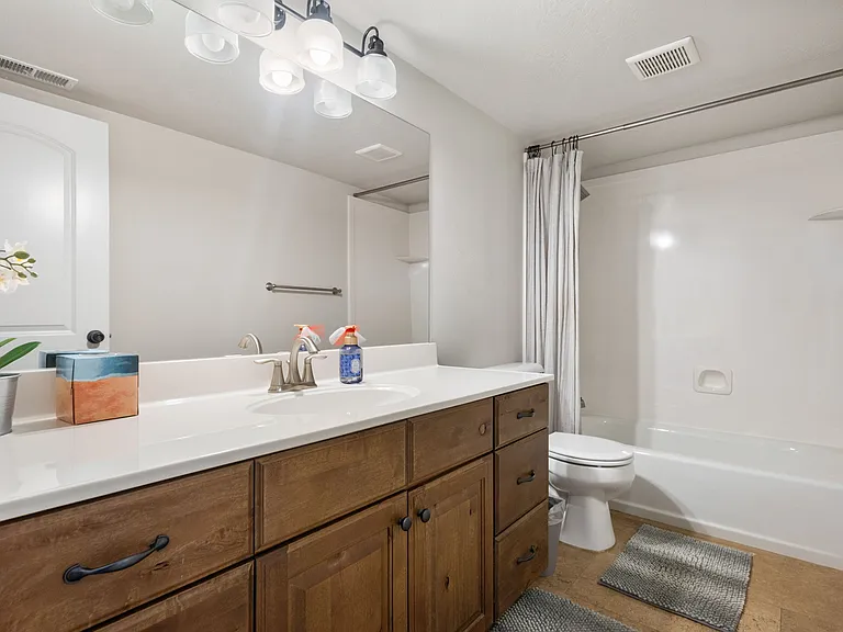Basement Bathroom