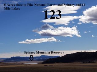 8747 Larimer Rd, Hartsel, CO 80449