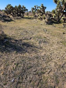 0 Division St #10, Palmdale, CA, 93550