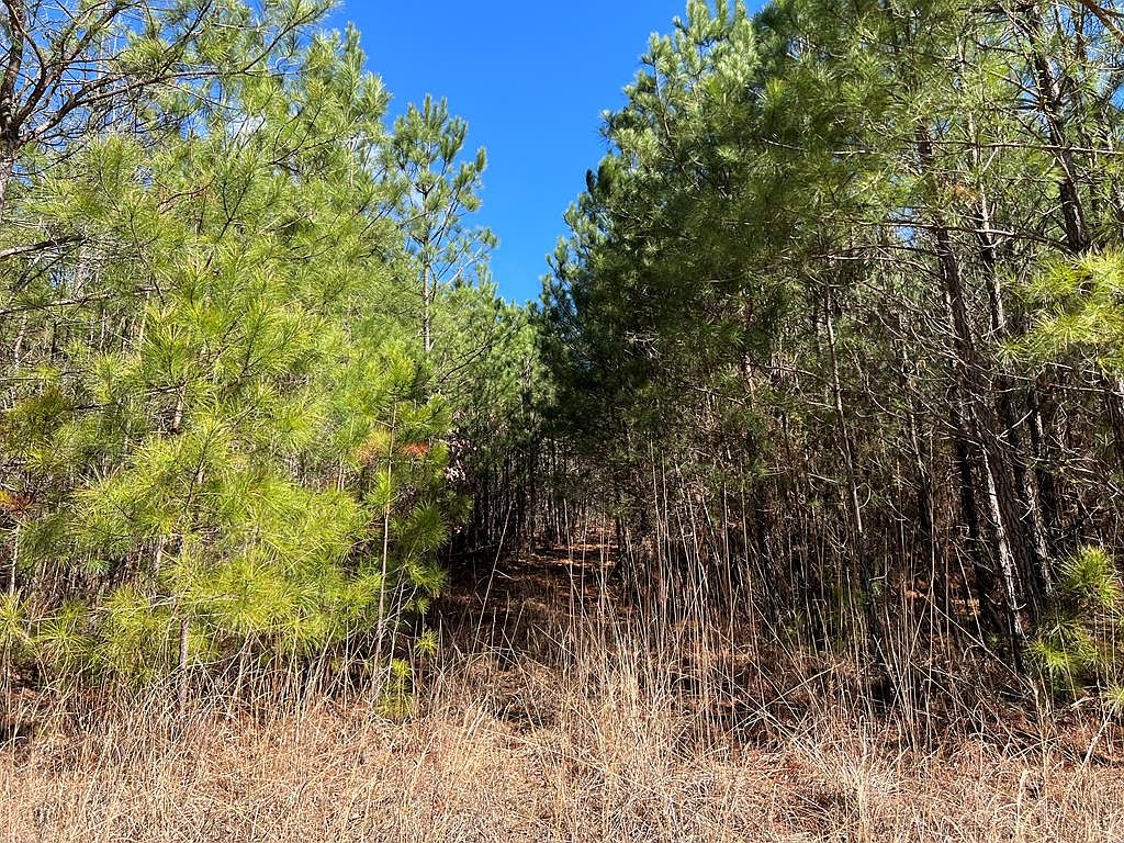 341 Wilderness Camp Rd, White, GA 30184 MLS 402024 Zillow