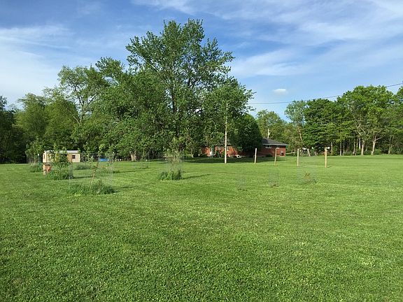 View from back corner of property