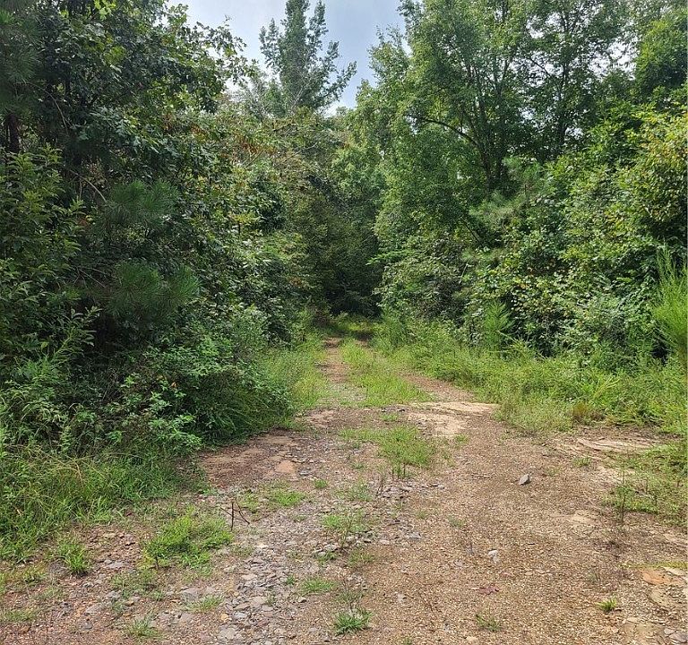 0 Tutwiler Rd, Oakman, AL 35579 Zillow