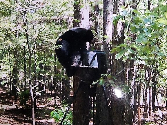 3rd image of Eagles Nest