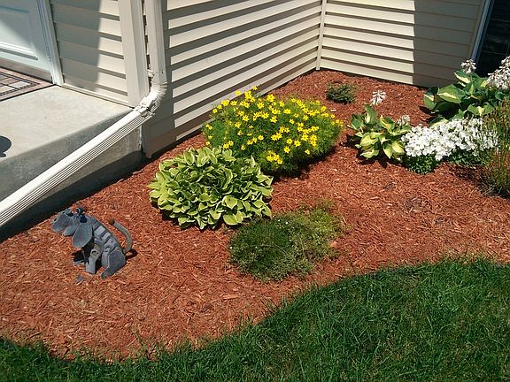 perennial bed