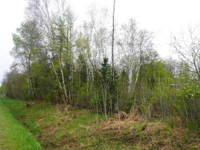 Cth #X, Gleason, WI, 54435
