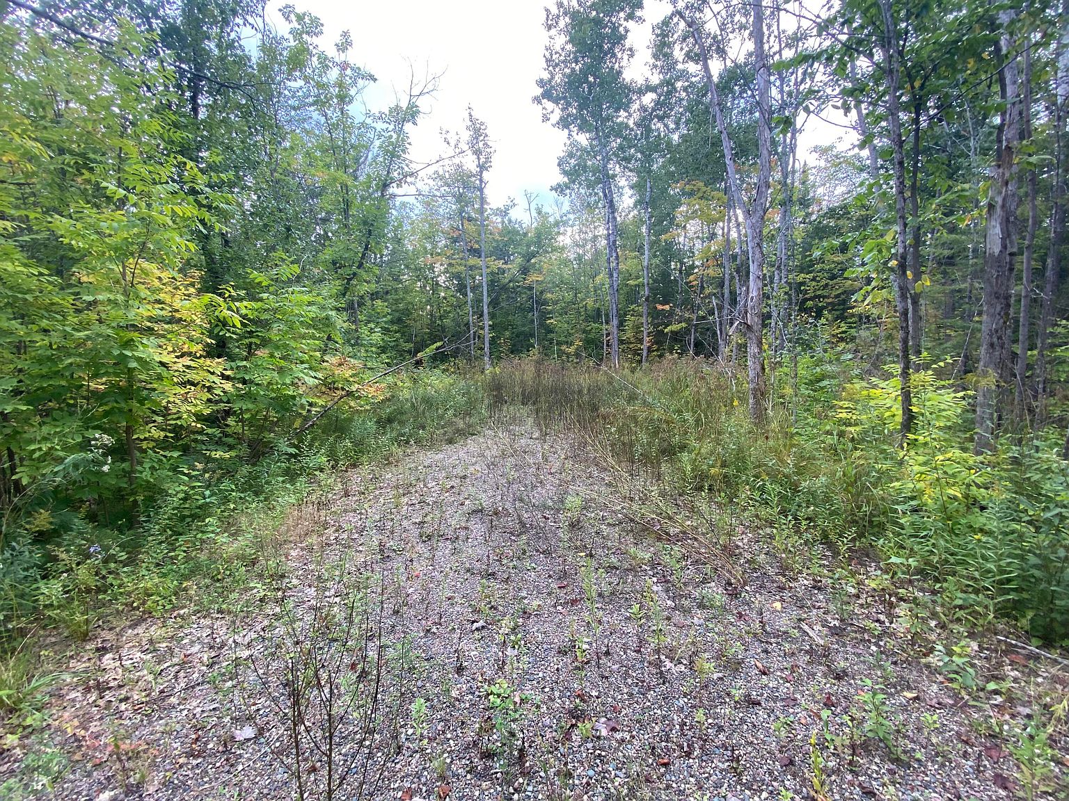 66746 Mile Rd, Kinross, MI 49752 Zillow