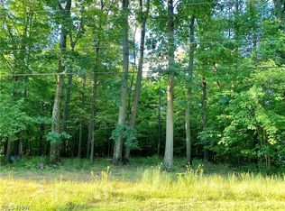 Bonesville School Rd, Leetonia, OH 44431