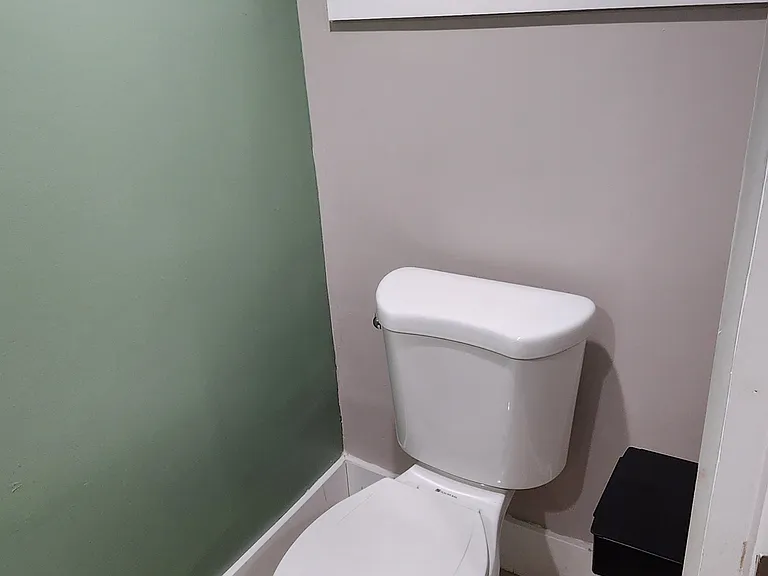 Half Bathroom (Basement)