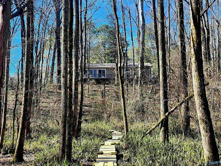 147 Butch Cash Rd — Photo 31