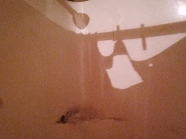 houston-texas-161210262 picture