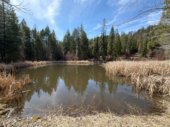 20XX Dunn Mountain Way, Addy, WA 99101