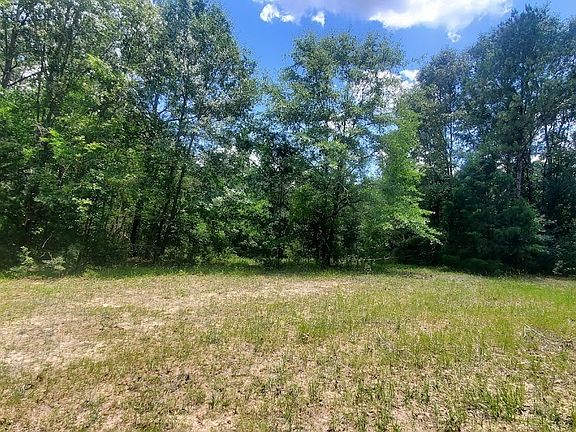 County Road 60, Skipperville, AL 36374 | MLS #540268 | Zillow