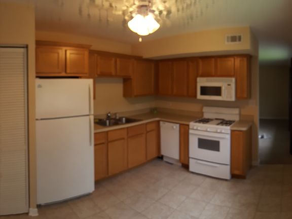 Dishwasher/Microwave