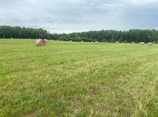 131AC E Gogomain Rd, Pickford, MI 49774