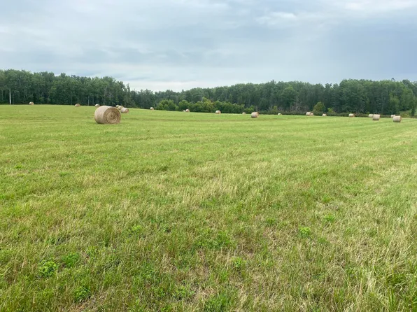 131AC E Gogomain Rd, Pickford, MI 49774