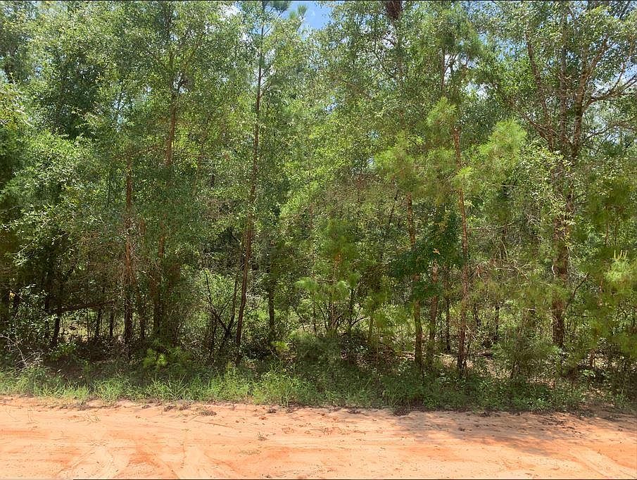 2nd image of 115 Florida Boulevard