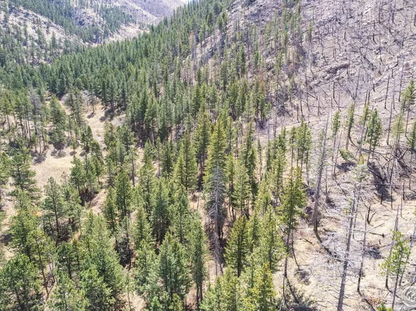 0 TBD Stratton Park Rd Lot 12, Bellvue, CO 80512