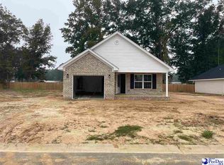 3256 Spiral Ln, Effingham, SC 29541