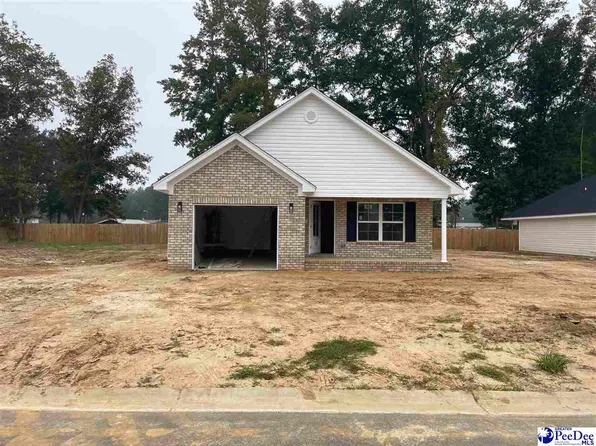 3256 Spiral Ln, Effingham, SC 29541