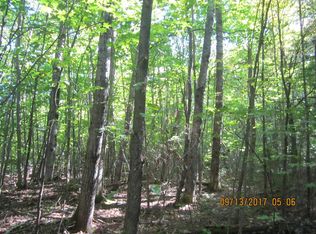 0 E Tee Lake Rd, Germfask, MI 49836