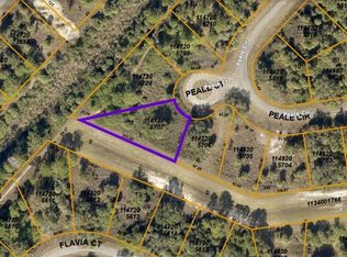 1147205707 Peale Ct, North Pt, FL 34288