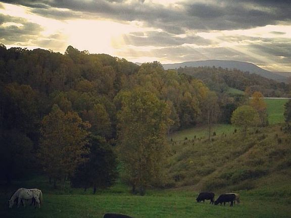 View from back porch