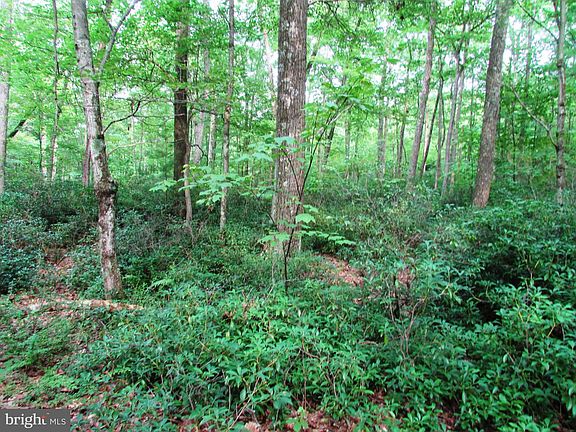 2nd image of 1765 Bear Meadows Rd