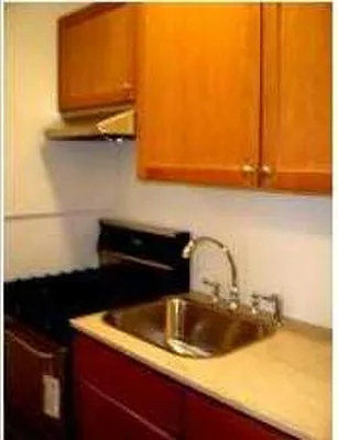 Rented by Platinvm Property Group New York | media 2
