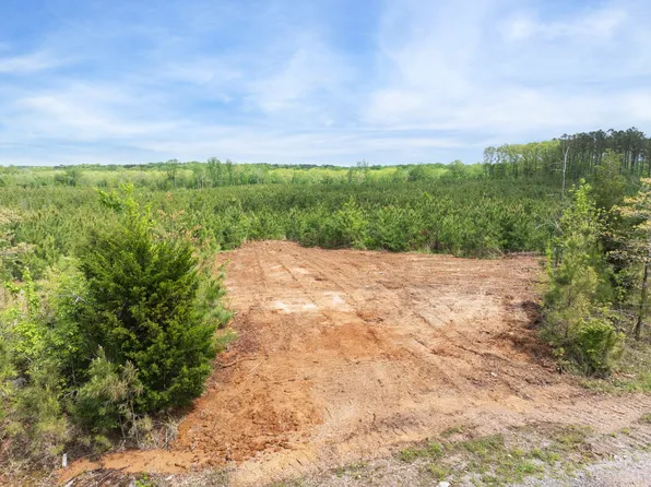 0 Young Rd Lot 2, Finger, TN 38334
